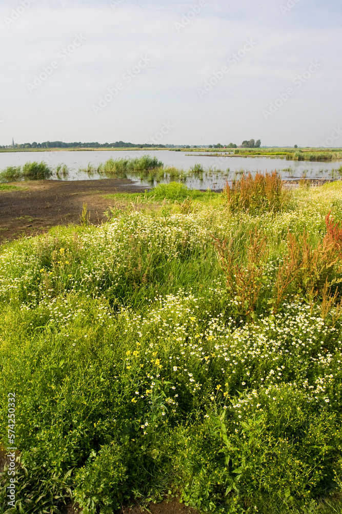 Groene Jonker, Zevenhoven, Netherlands Groene Jonker, Zevenhoven, Netherlands