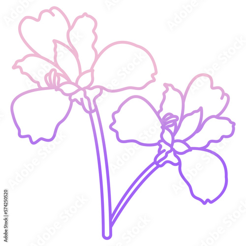 Iris flower icon