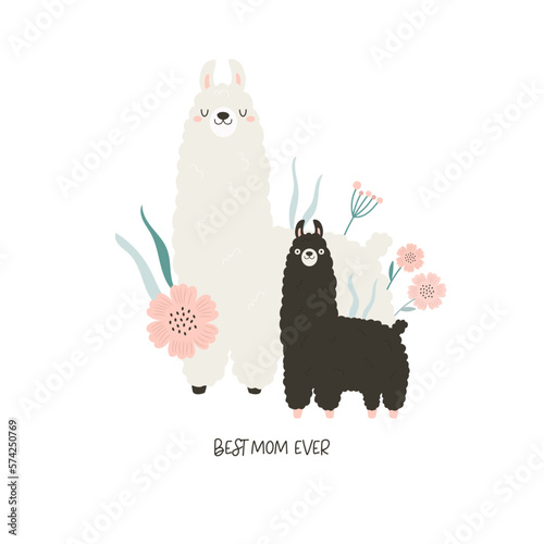 Vector illustration of cute young alpaca, llama and mom. Adorable print with animals for kids in a modern flat style.