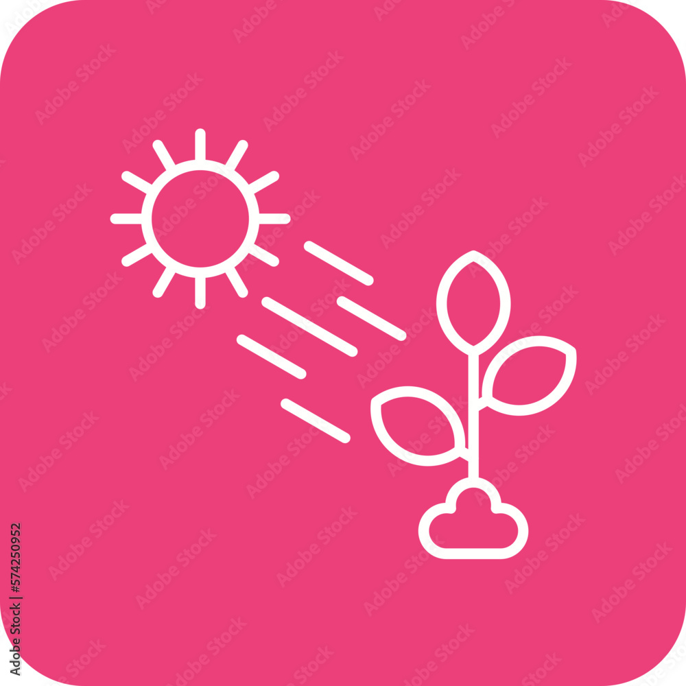 Natural Light Icon Natural Light Icon