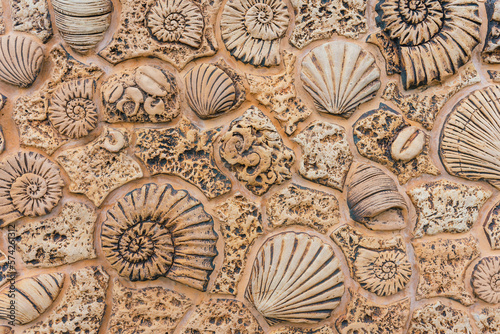 Maritime background with ornaments of shells and snails on a beige wall.