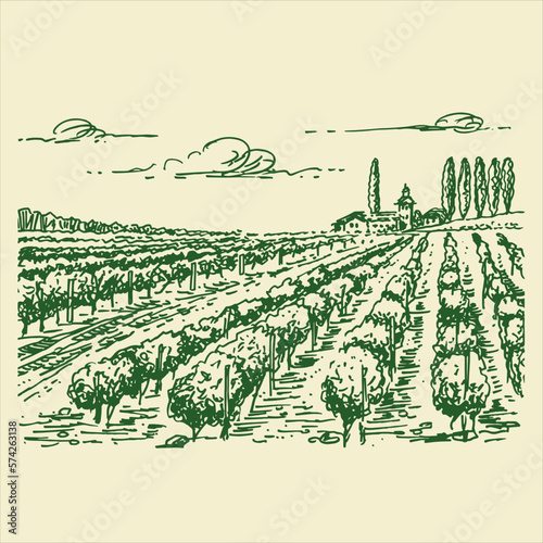 Vineyard landscape. Farm grape fields with houses agricultural hand drawn engraving style vector illustration. Good for a wine label design. 