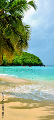 Fototapeta Naklejka Na Ścianę i Meble -  Fond d'écran téléphone plage des caraïbes, Martinique