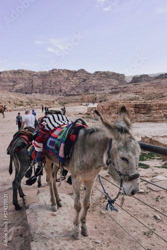 Petra, Jordan © Miguel