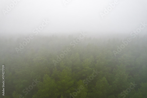A stunning drone photo of a summer forest shrouded in thick fog. The mist creates a serene and tranquil setting, with an quality that enhances the natural beauty of the landscape.
