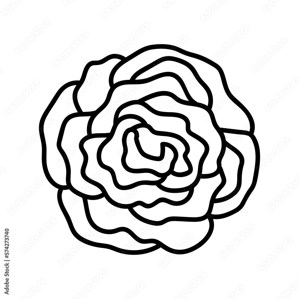 flower line on white background vector illustration using for decoration of text, cards, invitation. Sketch of leaves and flowers. flower line on white background vector illustration using for decoration of text, cards, invitation. Sketch of leaves and flowers.