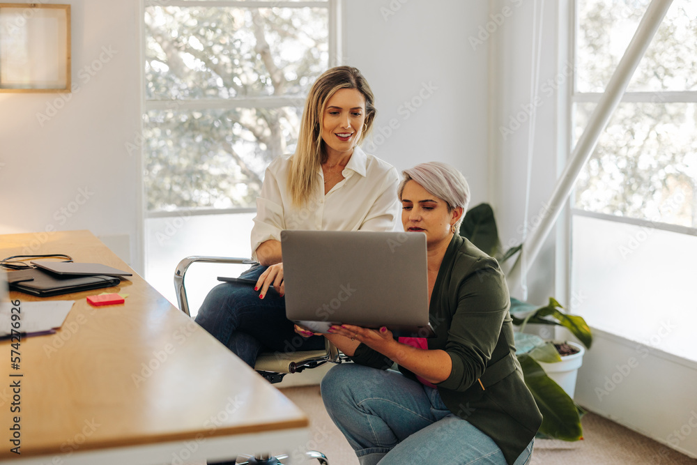 Young businesswomen using a laptop in an office Young businesswomen using a laptop in an office