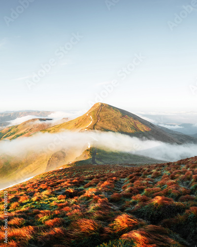 Orange grass trembling in the wind in autumn mountains at sunrise. A soft mist flows through the mountain peaks. Carpathian mountains, Ukraine. Landscape photography