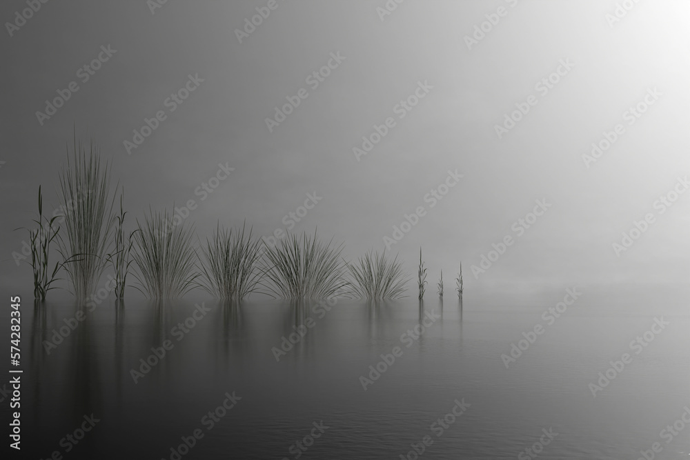Obraz premium black and white image of plant lined up on the water of a lake in the mist. 3d render