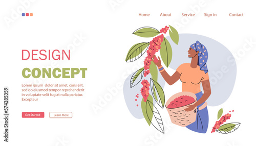 Landing page for a coffee growing and production website. Dark-skinned woman plucks ripe coffee cherries from a branch into a basket. Coffee Farming web page template. Flat style, vector illustration.