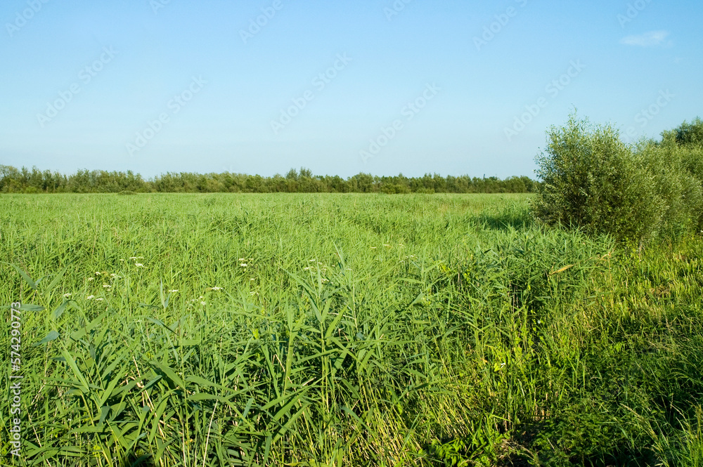 Zouweboezem Zouweboezem