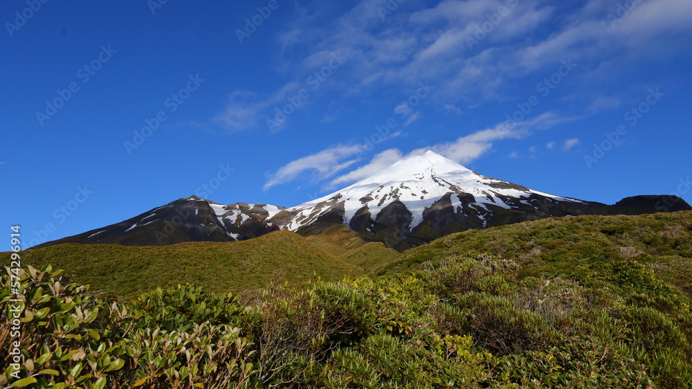The stratovolcano Mt. Taranaki in the Egmont National Park of New Zealand, with native vegetation as the foreground (perfect habitat of native wildlife)