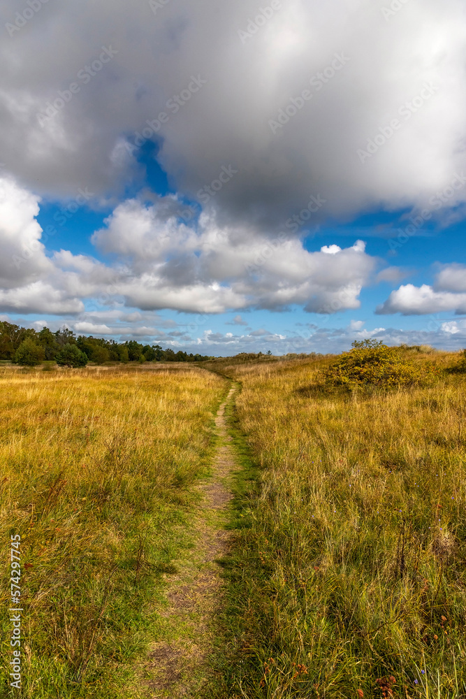 A path in the grass on the coast A path in the grass on the coast