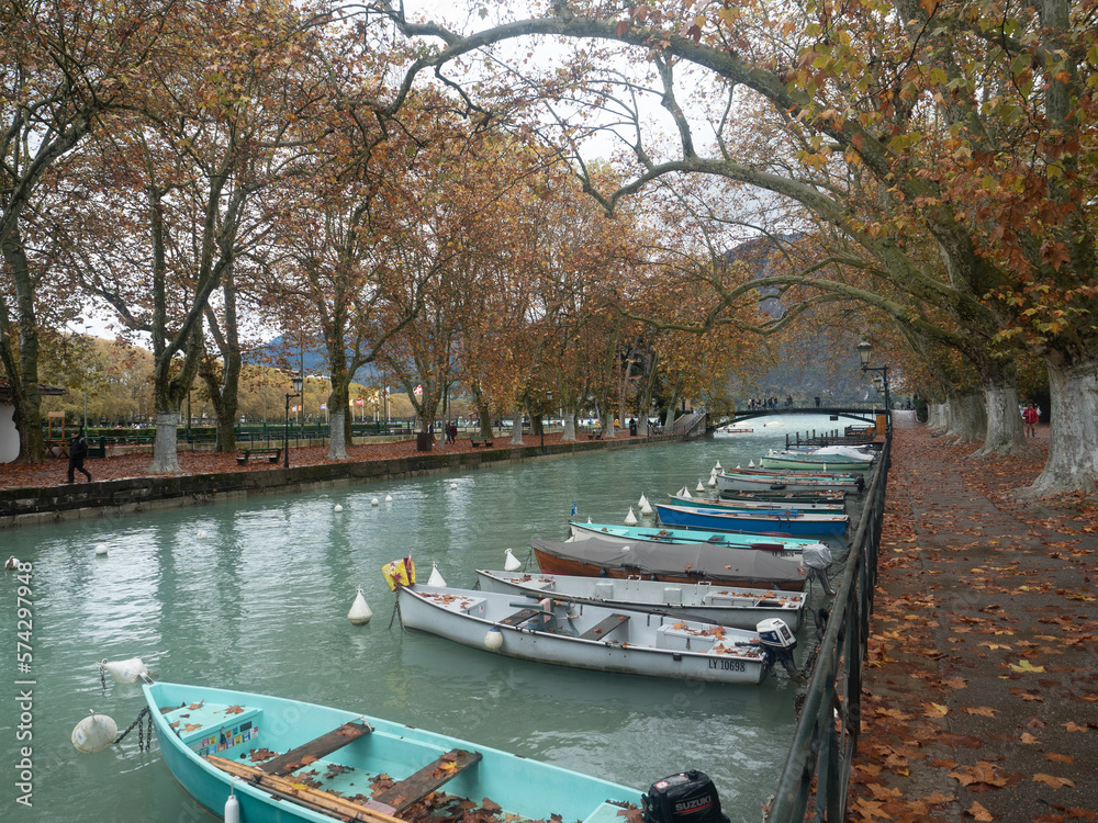 Obraz premium OLYMPUS DIGITAL CAMERA