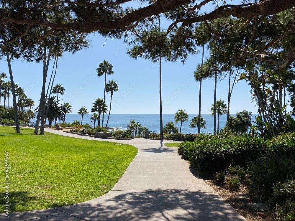 Heisler park laguna beach palm trees in the park Heisler park laguna beach palm trees in the park