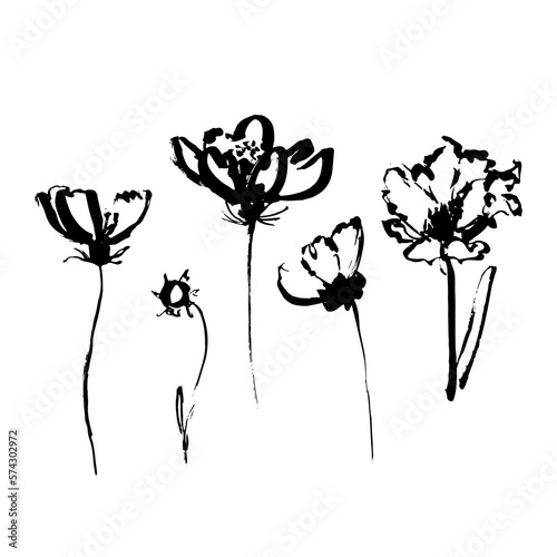 Simple linear flowers on stems isolated on white. Hand drawn vector botanical illustrations. Cute flowers and leaves cliparts. Chamomile hand painted vector set. Ink drawing wild plants and herbs 