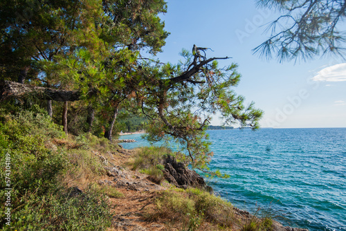 A peaceful summer day at the beach, with a tranquil turquoise sea and lush natural landscape. A perfect destination to relax and enjoy natures beauty.