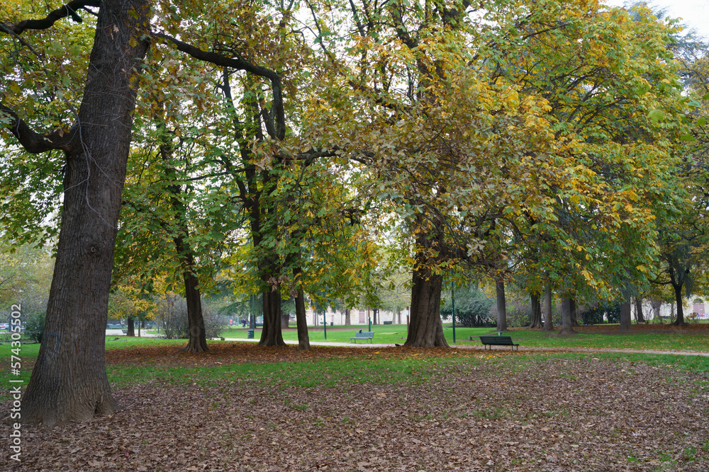 Sempione park in Milan at fall