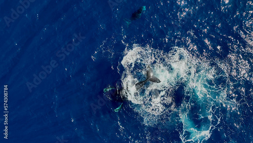 Drone aerial view of humpback whale in Reunion island