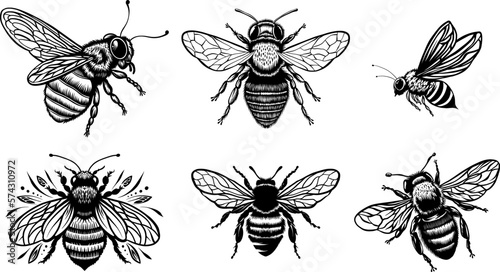 Black and White Honey Bee Insect for Stickers and Bee Decal. Bee Line Art Illustration © vectorpanther