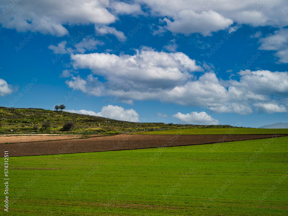 Agricultural fields in the north of Israel