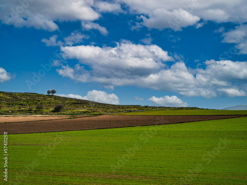 Agricultural fields in the north of Israel