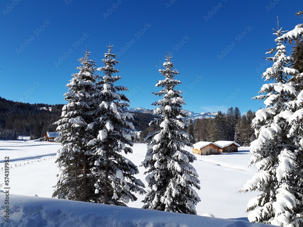 Fototapeta premium Winterwonderland