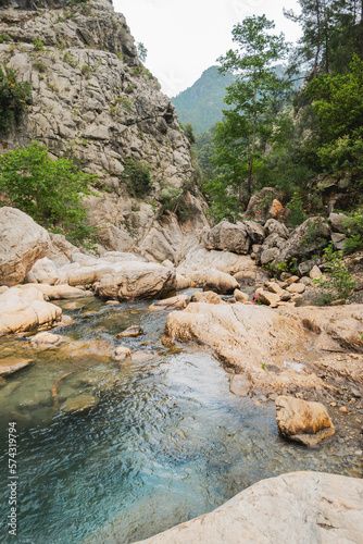Trees and stones in river in Goynuk Canyon. Mountain slopes in Beydaglari Coastal National Park. Turkey.