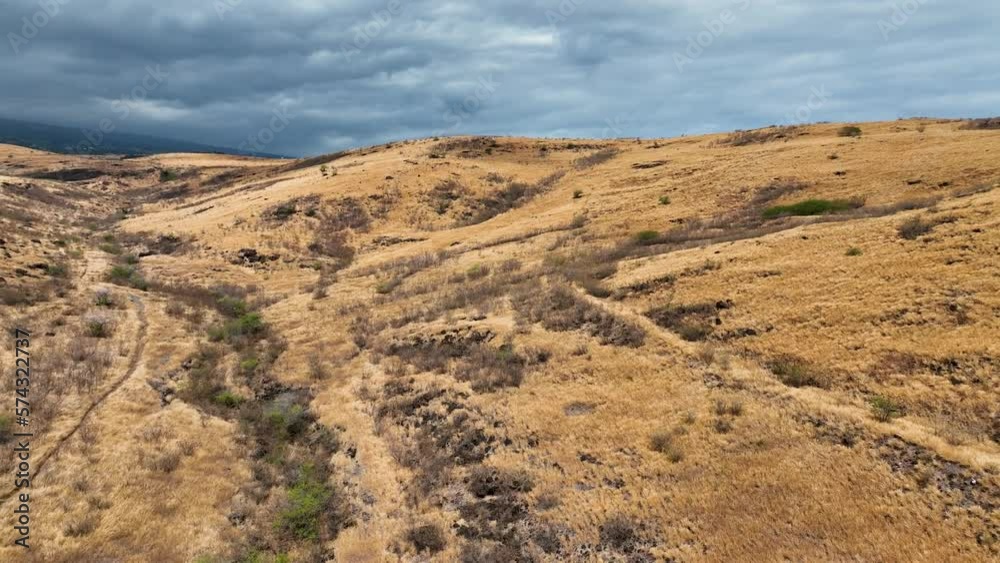 Aerial travelling view of Reunion island savannah Aerial travelling view of Reunion island savannah