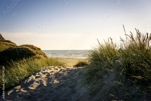 Grass and sand Dunes and beach scene, Tornby on the West North coast of denmark. North Jutland Denmark region. A wide view of the Nature reserve at the northern sea. The area around North Denmark. photo