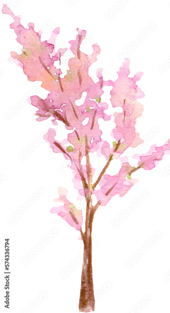 Watercolor Blooming Tree Sakura Watercolor Blooming Tree Sakura