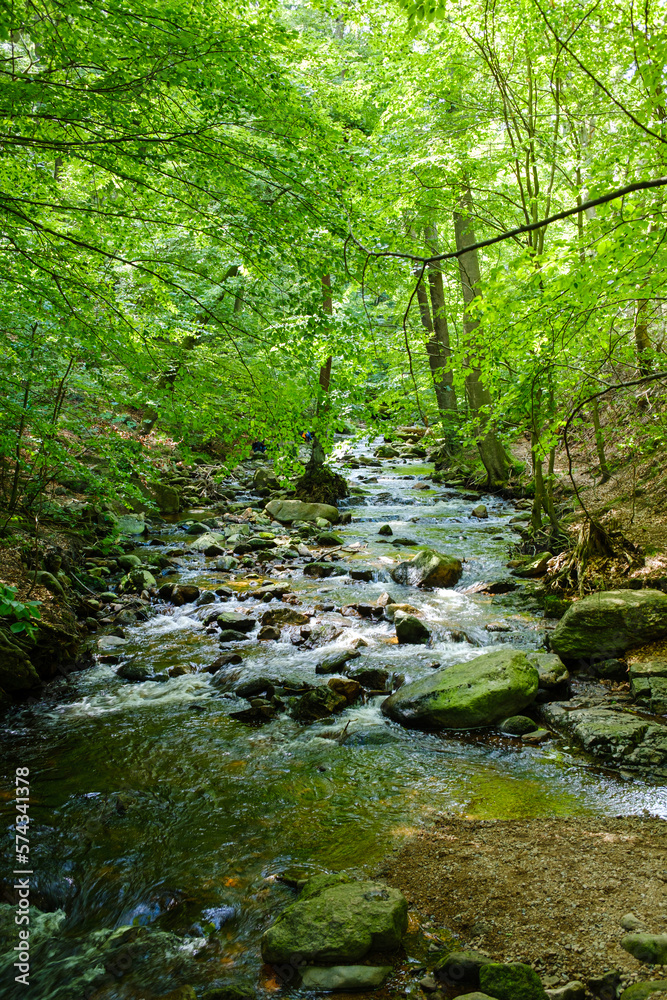 Hochformat Wald mit kleinem Bachlauf im Harz. Ilsetal im Sommer