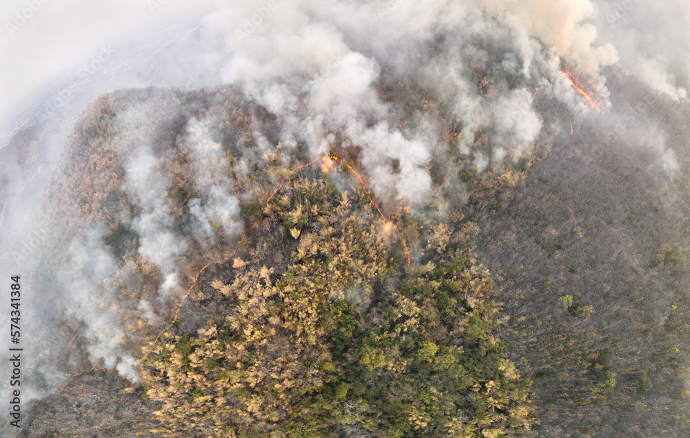 Wildfires release carbon dioxide (CO2) emissions and other greenhouse