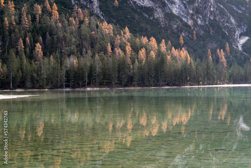 Fototapeta Naklejka Na Ścianę i Meble -  Pinetrees reflecting in the Lake of Misurina, Auronzo di Cadore, Dolomites, Veneto region, Italy