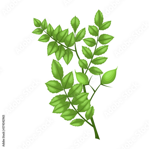 chickpea plant cartoon vector illustration color sign