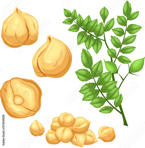 chickpeas food set cartoon vector illustration color sign