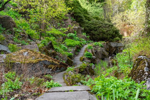 Decorative garden with pathway from stone back yard grass with stony natural landscaping. Curving concrete pathway with surrounding moss covered rocks. Walkway in green stony garden.