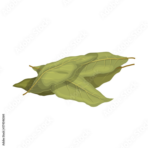 bay leaf plant cartoon vector illustration color sign