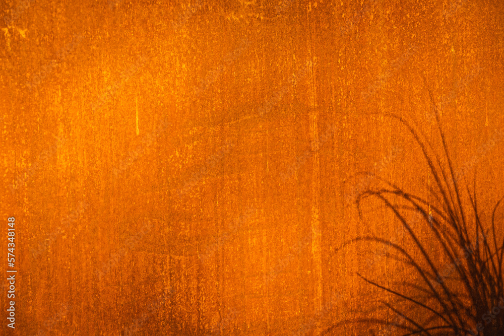 Naklejka premium Iron rusty wall in direct sunlight with the shadow of a plant cast upon.