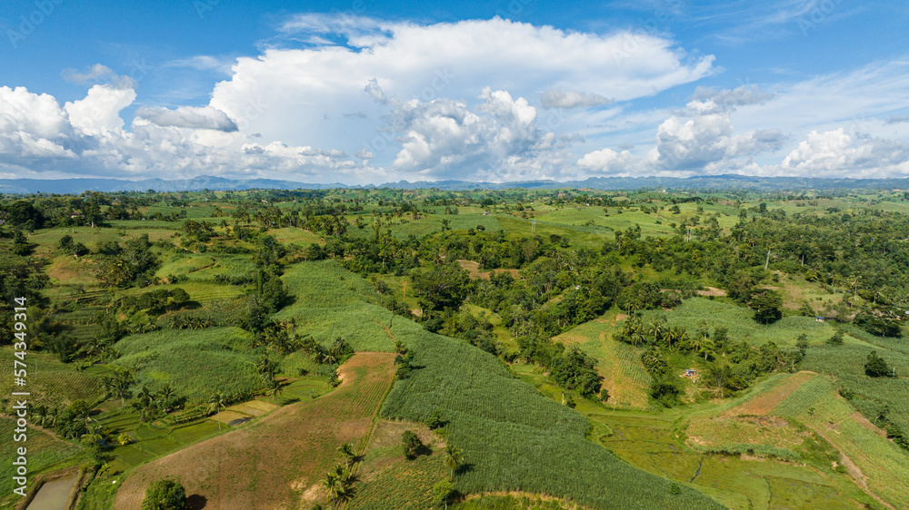 Obraz premium Top view of Farmland and mountains with green forest. Negros, Philippines.