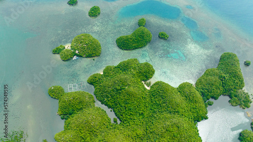 Fototapeta Naklejka Na Ścianę i Meble -  Tropical islands and bays. Seascape with lagoons and cove. Sipalay, Negros, Philippines.