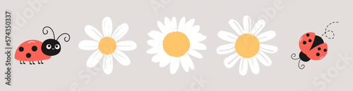 Set of daisy flower and lady bug on grey background vector illustration. Cute childish print.