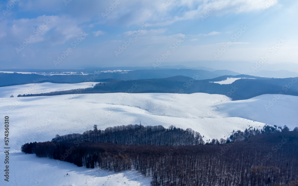 Aerial view of a field between forests in winter