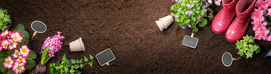 Gardening tools with flowers on soil background. Spring gardening concept