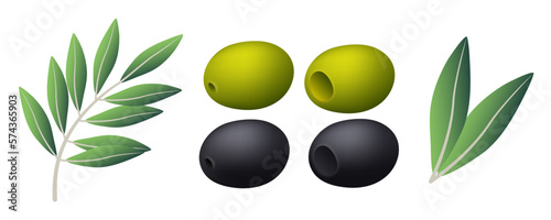 Green and black olives. Fruits and a branch of an olive. Vector set.