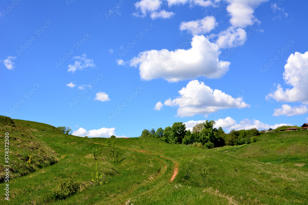 green rolling hills with country road with green trees and blue sky and white clouds