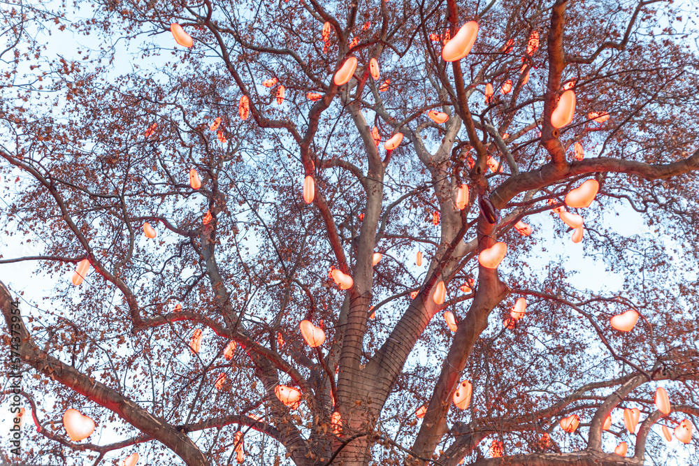 Tree decorated with lights in the shape of red hearts at the Christmas market in the town hall square in Vienna, Austria. Tree decorated with lights in the shape of red hearts at the Christmas market in the town hall square in Vienna, Austria.