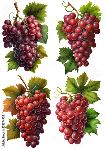 Four different beautiful large realistic bunches of red grapes on a transparent background, Generative AI