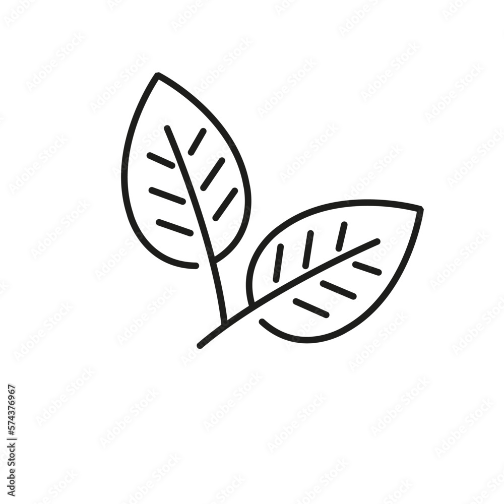 Leaf icon line style. Vector line art leaf icon.