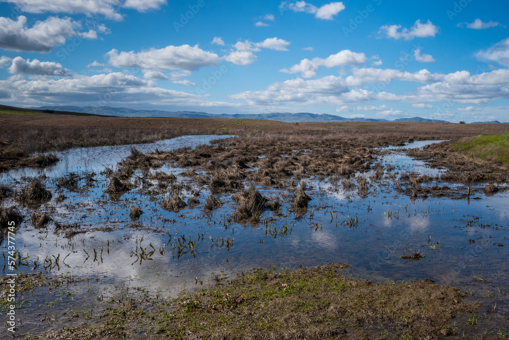 Blackish Marsh at Grizzly island  Wildlife area on a partly cloudy day with blue sky and plenty of sky copy-space showing a portion of the Suisun marsh, Fairfield, California, USA, in the winter of 20